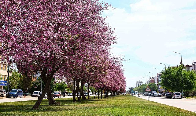 Antalya yaz renklerine bürünüyor