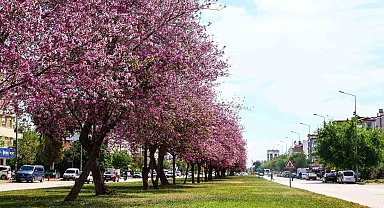 Antalya yaz renklerine bürünüyor