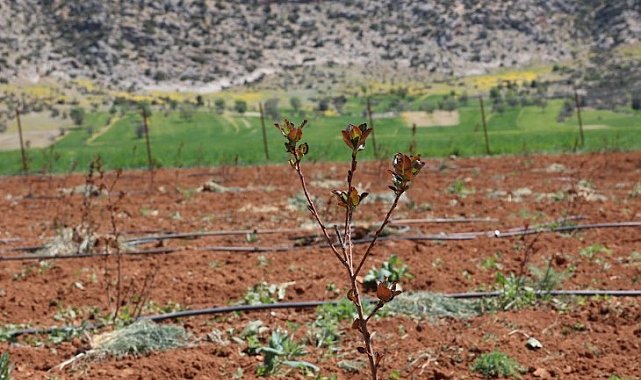 Antalya'da tarımsal sulama projeleriyle tersine göç hızlandı