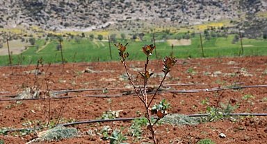 Antalya'da tarımsal sulama projeleriyle tersine göç hızlandı