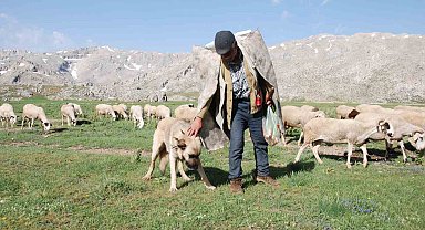 Antalya'da Yörüklerin yayla serüvenleri başladı