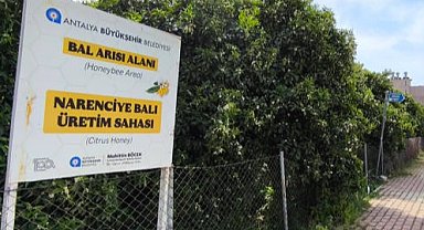 Antalya'da 'Narenciye Balı' koruma altında