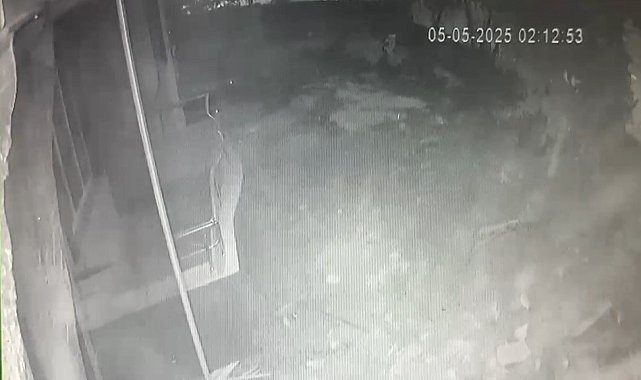 Apartmandaki doğal gaz patlaması saniye saniye kamerada