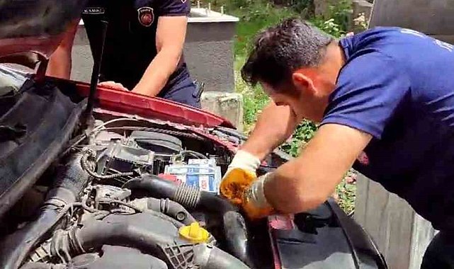 Araç motorundan çıkan sürpriz yüzleri gülümsetti