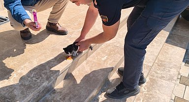 Aracın altına sıkışan yavru kediyi itfaiye kurtardı