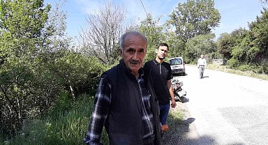 Aracın çarptığı karaca telef oldu