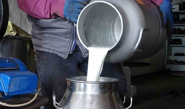 Ardahan'da süt üreticileri düşük fiyatlardan şikâyetçi