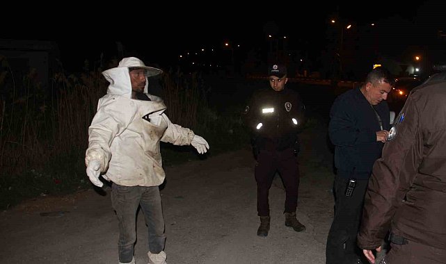 Arı kovanı yüklü kamyonet devrildi, olanlar oldu