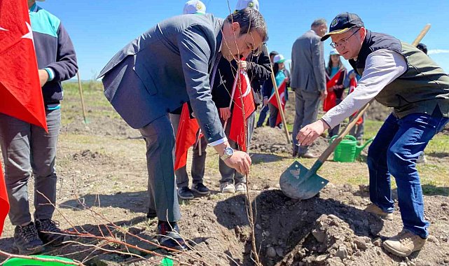 Arpaçay'da meyve fidanları toprakla buluştu
