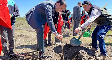 Arpaçay'da meyve fidanları toprakla buluştu