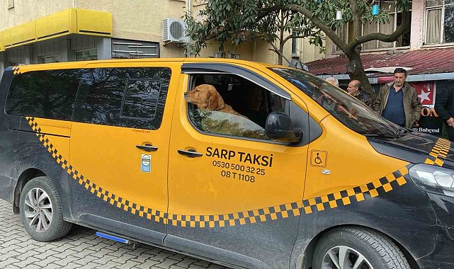 Artvin'de sıra dışı taksi deneyimi