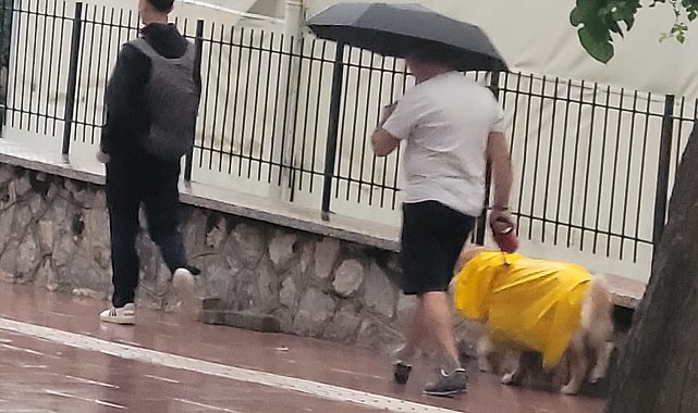 Aydın güne yağmurla uyandı