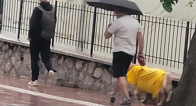 Aydın güne yağmurla uyandı