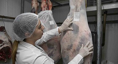 Aydın'da kurban kesim ücretleri belli oldu