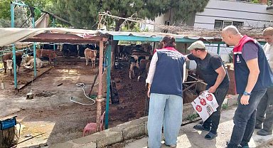 Aydın'da kurban satış ve kesim yerleri denetlendi