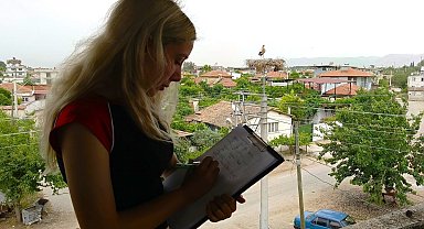 Aydın'da leylek sayımları tamamlandı