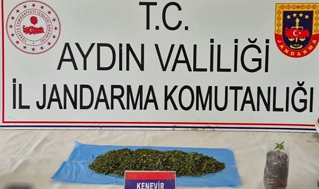 Aydın'da uyuşturucu operasyonu: 36 şüpheli yakalandı
