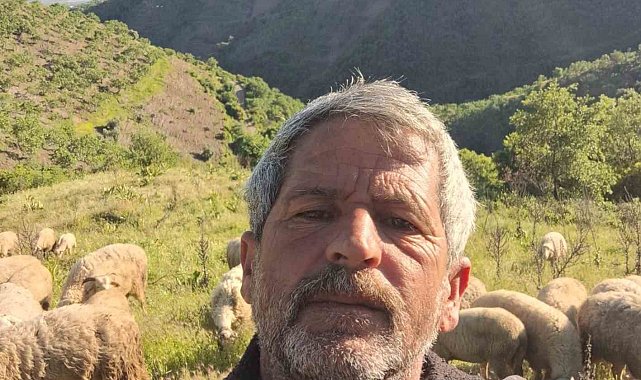 Aydın'da Yörüklerin yayla yolculuğu başladı