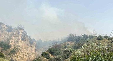 Aydın'da zirai alan yangını