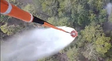 Aydın'daki orman yangını kontrol altına alındı