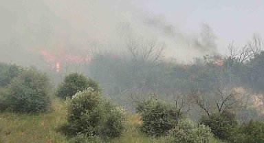 Aydın'daki yangın kontrol altına alındı