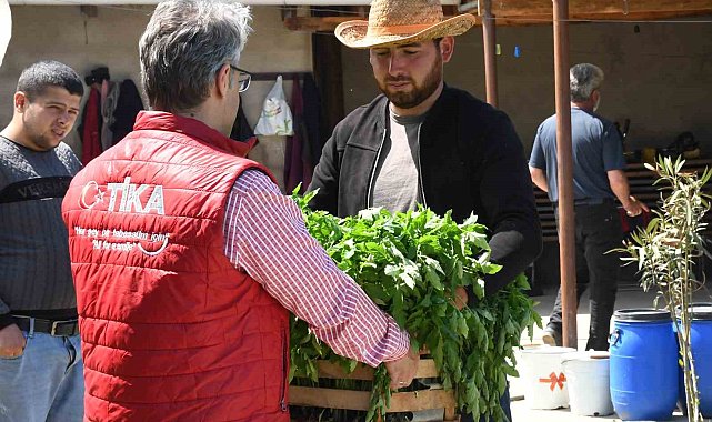 Azerbaycan'da sel mağduru çiftçilerin yüzü TİKA ile güldü