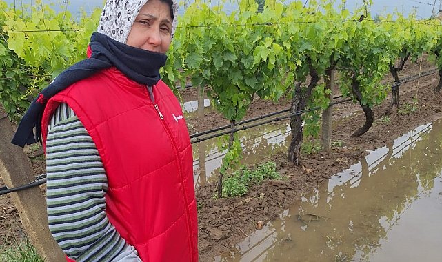Bahar yağmurları üreticiyi sevindirdi