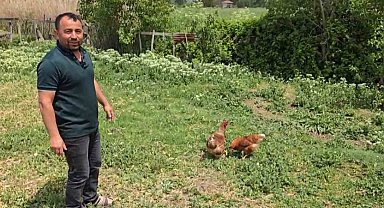 Bahçesine giren tilkiye böyle seslendi: "Kanun namına teslim ol"