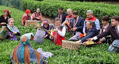 Bakan İbrahim Yumaklı: "Meteorolojik olayların çaya bizim korktuğumuz kadar bir etkisi olmadı"