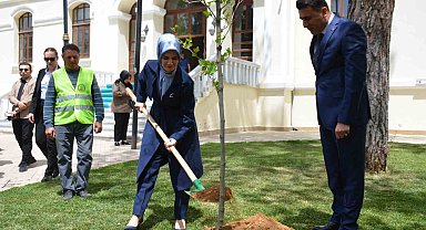 Bakan Mahinur Özdemir Göktaş, Bilecik'te adına hazırlanmış yere çınar fidanı dikerek can suyu verdi
