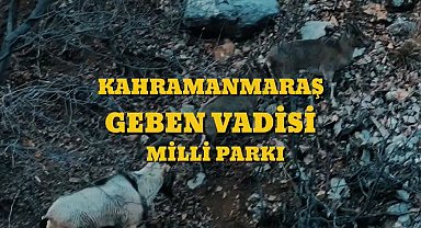 Bakan Yumaklı: "Kahramanmaraş Geben Vadisi, milli park statüsüne kavuştu"