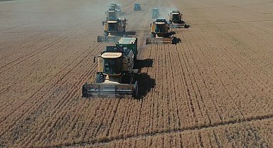 Bakan Yumaklı: "TİGEM Şanlıurfa Ceylanpınar Tarım İşletmesi'nde yılın ilk hasadına başlandı"