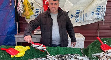 Balık sezonu bitmesine rağmen tezgahlarda hareketlilik sürüyor