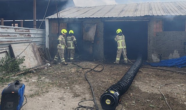 Balıkesir'de ahırda çıkan yangında 42 küçükbaş hayvan telef oldu