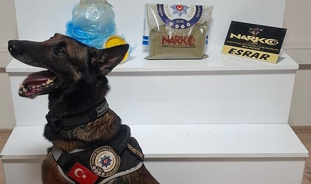 Balıkesir'de uyuşturucu operasyonu