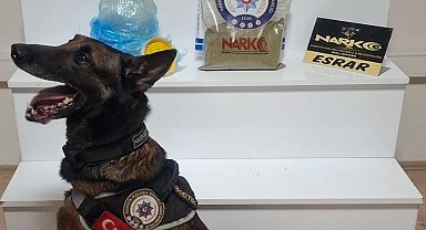 Balıkesir'de uyuşturucu operasyonu