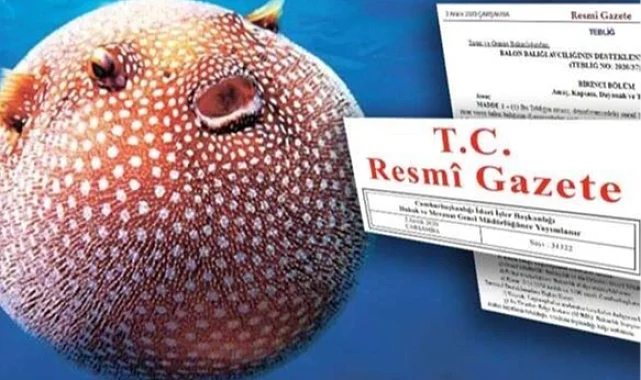 Balon Balığı avcılığı desteği artırıldı