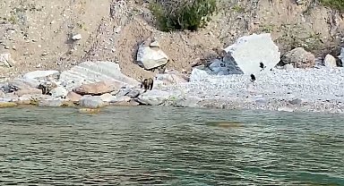Bartın'da ilginç anlar