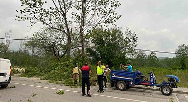 Bartın'da şiddetli fırtınada ağaçlar devrildi