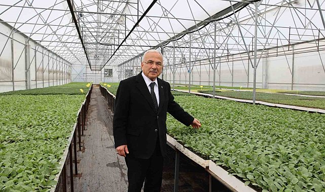 Başkan Güler: "5 yılda kendi ürettiğimiz 4 milyon adet fideyi üreticilerimize dağıttık"