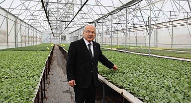 Başkan Güler: "5 yılda kendi ürettiğimiz 4 milyon adet fideyi üreticilerimize dağıttık"