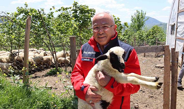 Başkan Güler: "Dağıtımını yaptığımız hayvanları kendimiz yetiştiriyoruz"