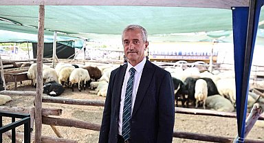 Başkan Tahmazoğlu: "Kurban Bayramı'nda fahiş fiyat artışlarına asla müsaade etmeyeceğiz"