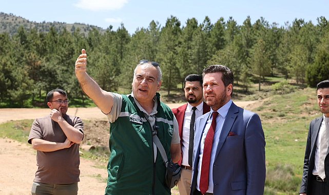 Başkan Tatık, Tavas'ı yayla turizmiyle tanıştırmak için kolları sıvadı
