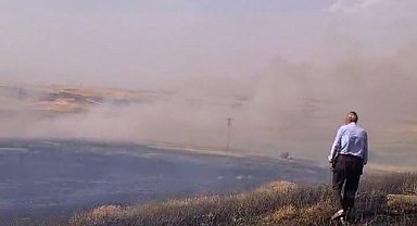 Batman'da 60 dönüm biçilmemiş buğday kül oldu