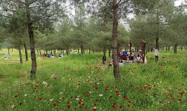 Batman'daki Malabadi Tabiat Parkı'na yoğun ilgi