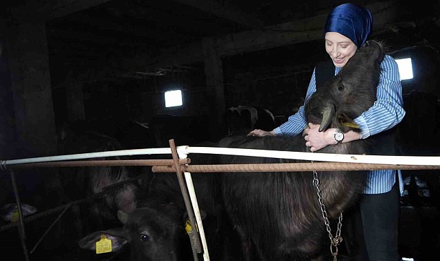 Bayburt'un tek kadın manda yetiştiricisi devlet desteğiyle kendi çiftliğini kurdu: Mandaları köyün simgesi oldu
