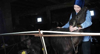 Bayburt'un tek kadın manda yetiştiricisi devlet desteğiyle kendi çiftliğini kurdu: Mandaları köyün simgesi oldu