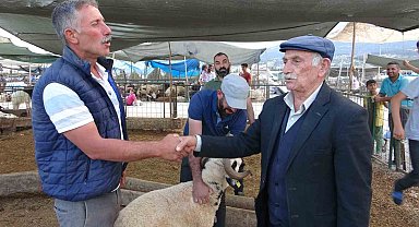 Bayram yaklaştı, kurban pazarında kıran kırana pazarlık başladı