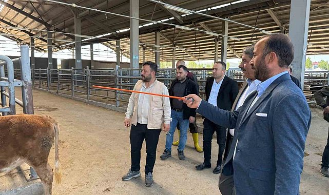 Belediye Başkanı canlı hayvan borsası ve et entegre tesisinde incelemelerde bulundu.